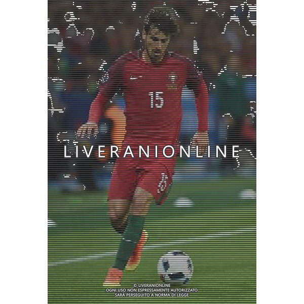 UEFA Francia EURO 2016 Final Tournament Group Stage F Saint-Etienne - 14.06.2016 Portogallo-Islanda Nella Foto:Andre\' Gomes /Ph.Vitez-Ag. Aldo Liverani