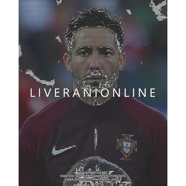 UEFA Francia EURO 2016 Final Tournament Group Stage F Saint-Etienne - 14.06.2016 Portogallo-Islanda Nella Foto:Joao Moutinho /Ph.Vitez-Ag. Aldo Liverani