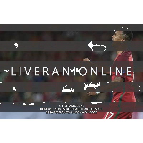 UEFA Francia EURO 2016 Final Tournament Group Stage F Saint-Etienne - 14.06.2016 Portogallo-Islanda Nella Foto:Nani /Ph.Vitez-Ag. Aldo Liverani
