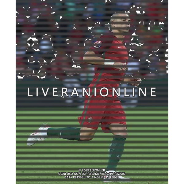 UEFA Francia EURO 2016 Final Tournament Group Stage F Saint-Etienne - 14.06.2016 Portogallo-Islanda Nella Foto:Pepe /Ph.Vitez-Ag. Aldo Liverani