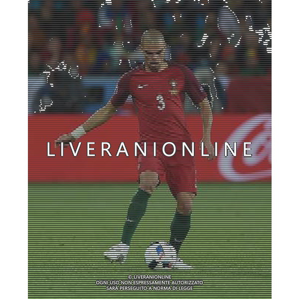 UEFA Francia EURO 2016 Final Tournament Group Stage F Saint-Etienne - 14.06.2016 Portogallo-Islanda Nella Foto:Pepe /Ph.Vitez-Ag. Aldo Liverani