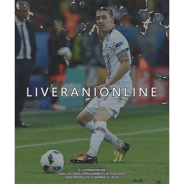 UEFA Francia EURO 2016 Final Tournament Group Stage F Saint-Etienne - 14.06.2016 Portogallo-Islanda Nella Foto:Saevarsson Birkir /Ph.Vitez-Ag. Aldo Liverani