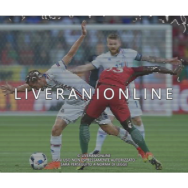 UEFA Francia EURO 2016 Final Tournament Group Stage F Saint-Etienne - 14.06.2016 Portogallo-Islanda Nella Foto:Sigurdsson Gylfi-Danilo /Ph.Vitez-Ag. Aldo Liverani