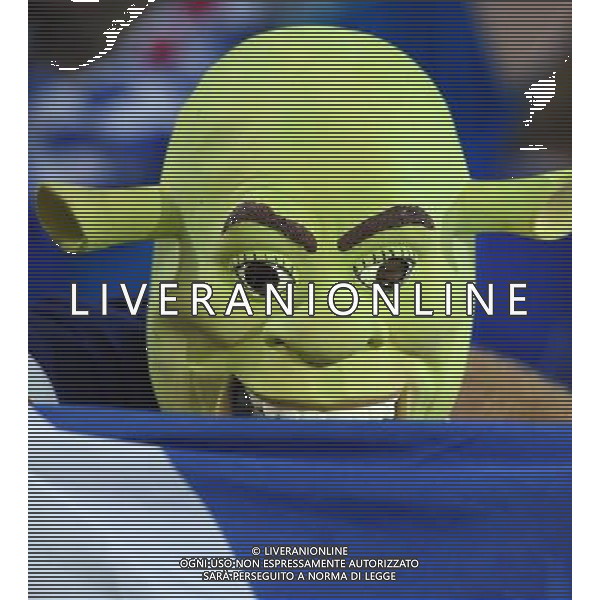 UEFA Francia EURO 2016 Final Tournament Group Stage B Lille - 15.06.2016 Russia-Slovacchia Nella Foto:tifosi slovacchia /Ph.Vitez-Ag. Aldo Liverani