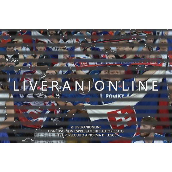 UEFA Francia EURO 2016 Final Tournament Group Stage B Lille - 15.06.2016 Russia-Slovacchia Nella Foto:tifosi slovacchia /Ph.Vitez-Ag. Aldo Liverani