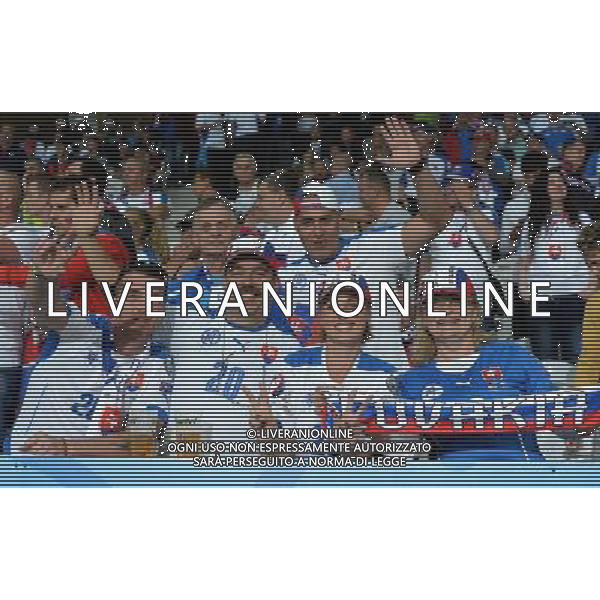 UEFA Francia EURO 2016 Final Tournament Group Stage B Lille - 15.06.2016 Russia-Slovacchia Nella Foto:tifosi slovacchia /Ph.Vitez-Ag. Aldo Liverani