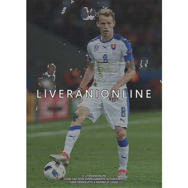 UEFA Francia EURO 2016 Final Tournament Group Stage B Lille - 15.06.2016 Russia-Slovacchia Nella Foto:duda /Ph.Vitez-Ag. Aldo Liverani