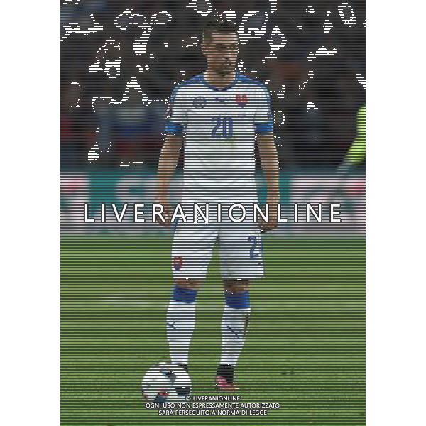 UEFA Francia EURO 2016 Final Tournament Group Stage B Lille - 15.06.2016 Russia-Slovacchia Nella Foto:Robert Mak /Ph.Vitez-Ag. Aldo Liverani