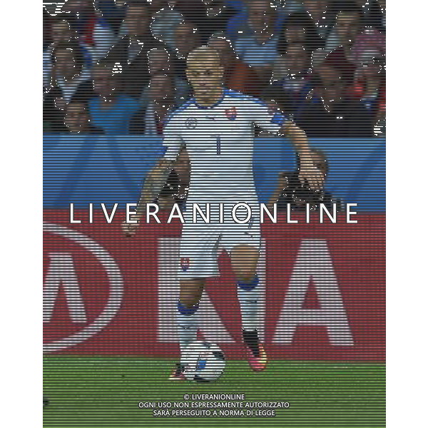 UEFA Francia EURO 2016 Final Tournament Group Stage B Lille - 15.06.2016 Russia-Slovacchia Nella Foto:Weiss Vladimir /Ph.Vitez-Ag. Aldo Liverani