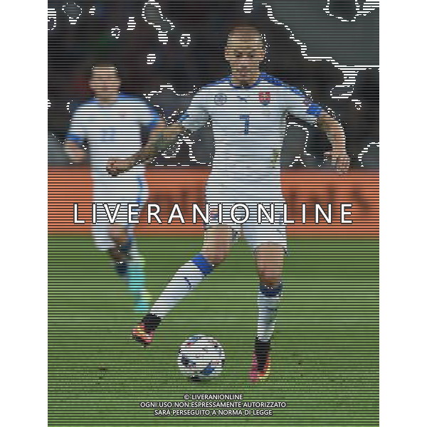 UEFA Francia EURO 2016 Final Tournament Group Stage B Lille - 15.06.2016 Russia-Slovacchia Nella Foto:Weiss Vladimir /Ph.Vitez-Ag. Aldo Liverani