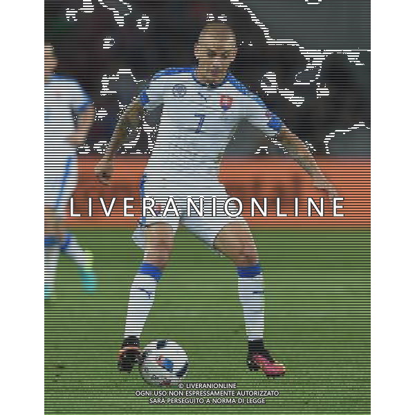 UEFA Francia EURO 2016 Final Tournament Group Stage B Lille - 15.06.2016 Russia-Slovacchia Nella Foto:Weiss Vladimir /Ph.Vitez-Ag. Aldo Liverani