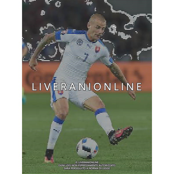 UEFA Francia EURO 2016 Final Tournament Group Stage B Lille - 15.06.2016 Russia-Slovacchia Nella Foto:Weiss Vladimir /Ph.Vitez-Ag. Aldo Liverani