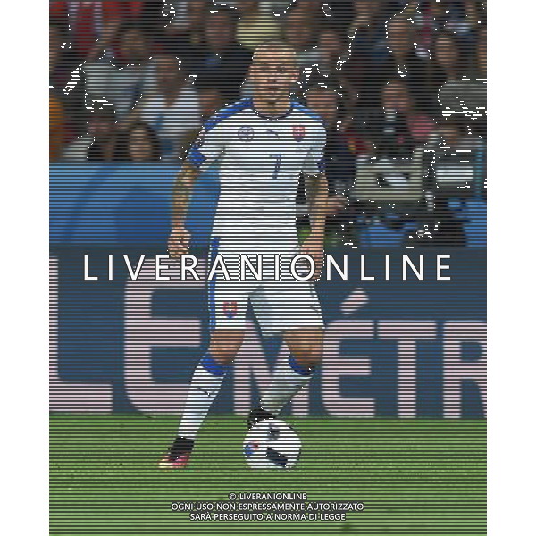 UEFA Francia EURO 2016 Final Tournament Group Stage B Lille - 15.06.2016 Russia-Slovacchia Nella Foto:Weiss Vladimir /Ph.Vitez-Ag. Aldo Liverani