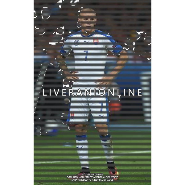UEFA Francia EURO 2016 Final Tournament Group Stage B Lille - 15.06.2016 Russia-Slovacchia Nella Foto:Weiss Vladimir /Ph.Vitez-Ag. Aldo Liverani
