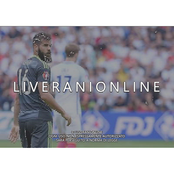 UEFA Francia EURO 2016 Final Tournament Group Stage B Lens - 16.06.2016 Inghilterra-Galles Nella Foto:ledley /Ph.Vitez-Ag. Aldo Liverani