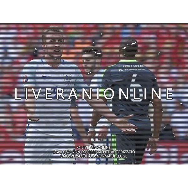 UEFA Francia EURO 2016 Final Tournament Group Stage B Lens - 16.06.2016 Inghilterra-Galles Nella Foto:proteste kane /Ph.Vitez-Ag. Aldo Liverani