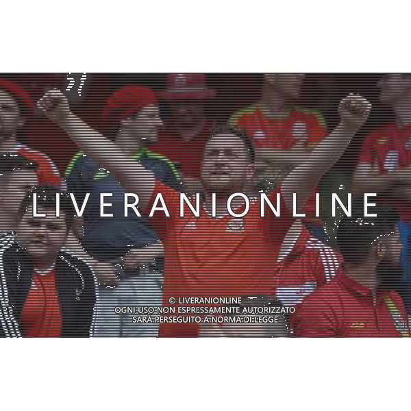 UEFA Francia EURO 2016 Final Tournament Group Stage B Lens - 16.06.2016 Inghilterra-Galles Nella Foto:tifosi galles /Ph.Vitez-Ag. Aldo Liverani