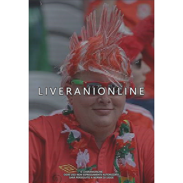 UEFA Francia EURO 2016 Final Tournament Group Stage B Lens - 16.06.2016 Inghilterra-Galles Nella Foto:tifosi galles /Ph.Vitez-Ag. Aldo Liverani