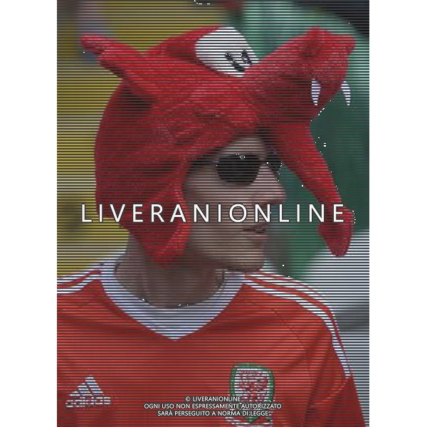 UEFA Francia EURO 2016 Final Tournament Group Stage B Lens - 16.06.2016 Inghilterra-Galles Nella Foto:tifosi galles /Ph.Vitez-Ag. Aldo Liverani