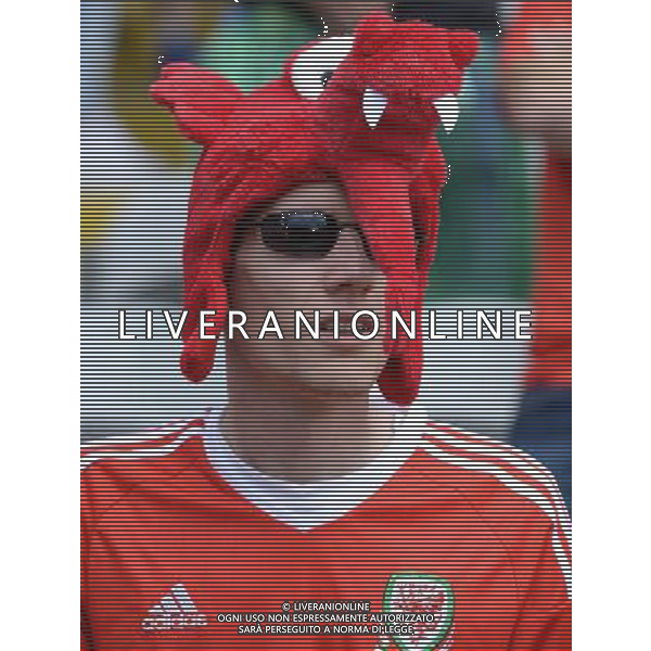 UEFA Francia EURO 2016 Final Tournament Group Stage B Lens - 16.06.2016 Inghilterra-Galles Nella Foto:tifosi galles /Ph.Vitez-Ag. Aldo Liverani