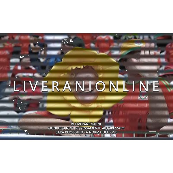 UEFA Francia EURO 2016 Final Tournament Group Stage B Lens - 16.06.2016 Inghilterra-Galles Nella Foto:tifosi galles /Ph.Vitez-Ag. Aldo Liverani