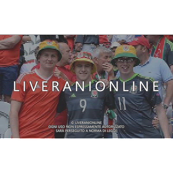 UEFA Francia EURO 2016 Final Tournament Group Stage B Lens - 16.06.2016 Inghilterra-Galles Nella Foto:tifosi galles /Ph.Vitez-Ag. Aldo Liverani