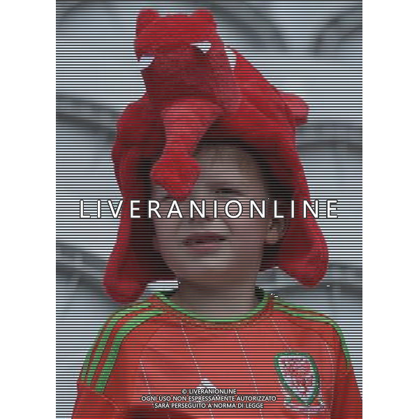 UEFA Francia EURO 2016 Final Tournament Group Stage B Lens - 16.06.2016 Inghilterra-Galles Nella Foto:tifosi galles /Ph.Vitez-Ag. Aldo Liverani