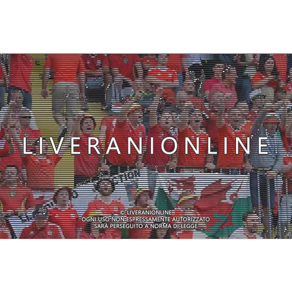 UEFA Francia EURO 2016 Final Tournament Group Stage B Lens - 16.06.2016 Inghilterra-Galles Nella Foto:tifosi inghilterra /Ph.Vitez-Ag. Aldo Liverani