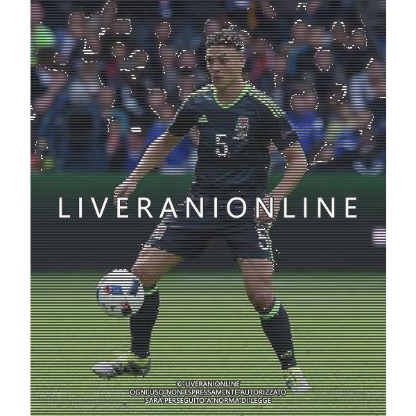 UEFA Francia EURO 2016 Final Tournament Group Stage B Lens - 16.06.2016 Inghilterra-Galles Nella Foto:Chester James /Ph.Vitez-Ag. Aldo Liverani