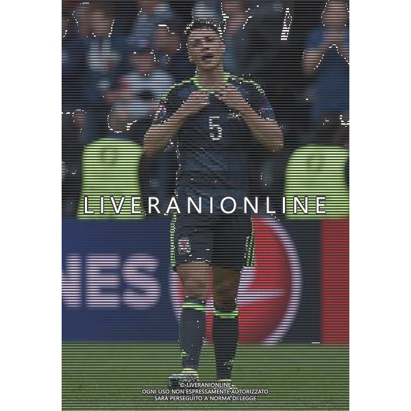 UEFA Francia EURO 2016 Final Tournament Group Stage B Lens - 16.06.2016 Inghilterra-Galles Nella Foto:Chester James /Ph.Vitez-Ag. Aldo Liverani