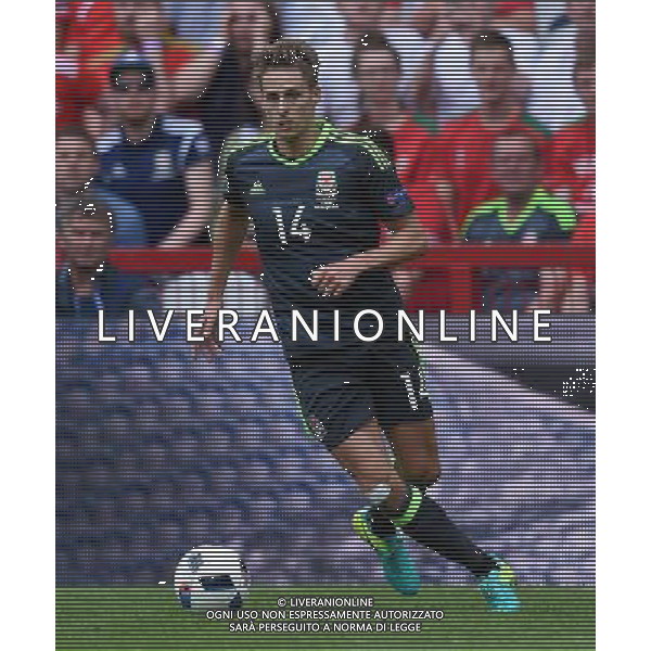 UEFA Francia EURO 2016 Final Tournament Group Stage B Lens - 16.06.2016 Inghilterra-Galles Nella Foto:Edwards David /Ph.Vitez-Ag. Aldo Liverani