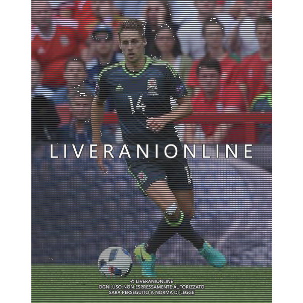 UEFA Francia EURO 2016 Final Tournament Group Stage B Lens - 16.06.2016 Inghilterra-Galles Nella Foto:Edwards David /Ph.Vitez-Ag. Aldo Liverani