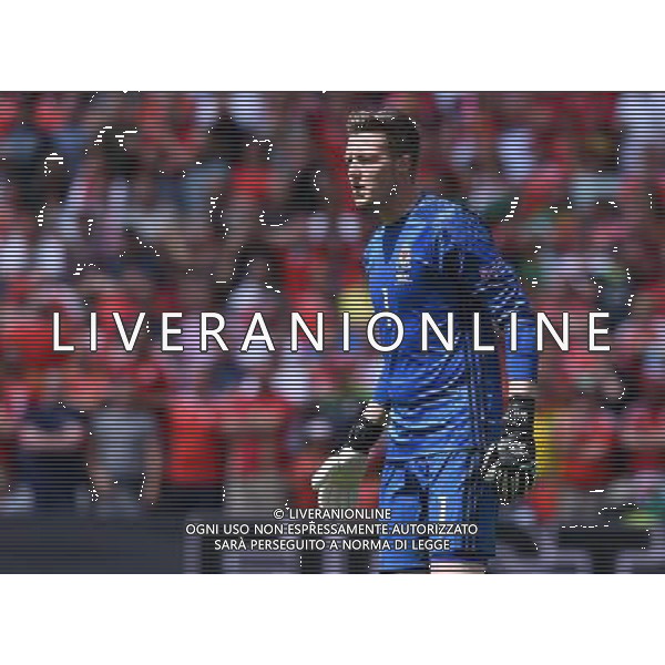 UEFA Francia EURO 2016 Final Tournament Group Stage B Lens - 16.06.2016 Inghilterra-Galles Nella Foto:Hennessey Wayne /Ph.Vitez-Ag. Aldo Liverani