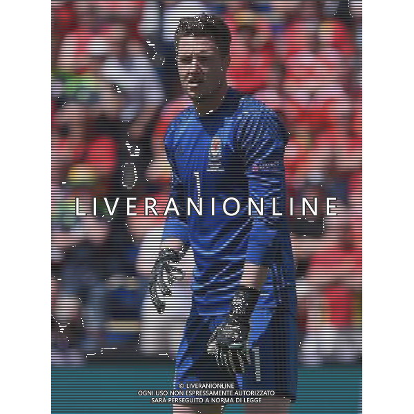 UEFA Francia EURO 2016 Final Tournament Group Stage B Lens - 16.06.2016 Inghilterra-Galles Nella Foto:Hennessey Wayne /Ph.Vitez-Ag. Aldo Liverani