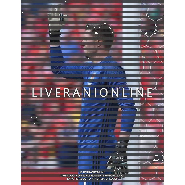 UEFA Francia EURO 2016 Final Tournament Group Stage B Lens - 16.06.2016 Inghilterra-Galles Nella Foto:Hennessey Wayne /Ph.Vitez-Ag. Aldo Liverani