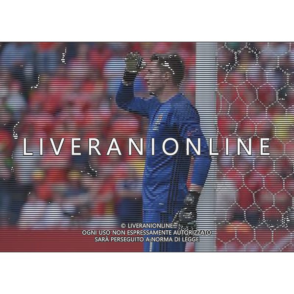 UEFA Francia EURO 2016 Final Tournament Group Stage B Lens - 16.06.2016 Inghilterra-Galles Nella Foto:Hennessey Wayne /Ph.Vitez-Ag. Aldo Liverani