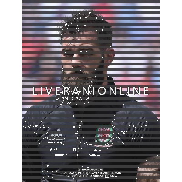 UEFA Francia EURO 2016 Final Tournament Group Stage B Lens - 16.06.2016 Inghilterra-Galles Nella Foto:Ledley Joe /Ph.Vitez-Ag. Aldo Liverani