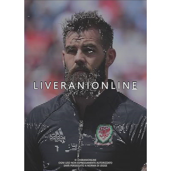 UEFA Francia EURO 2016 Final Tournament Group Stage B Lens - 16.06.2016 Inghilterra-Galles Nella Foto:Ledley Joe /Ph.Vitez-Ag. Aldo Liverani