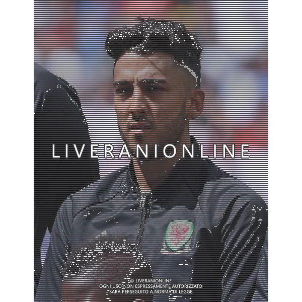 UEFA Francia EURO 2016 Final Tournament Group Stage B Lens - 16.06.2016 Inghilterra-Galles Nella Foto:Taylor Neil /Ph.Vitez-Ag. Aldo Liverani