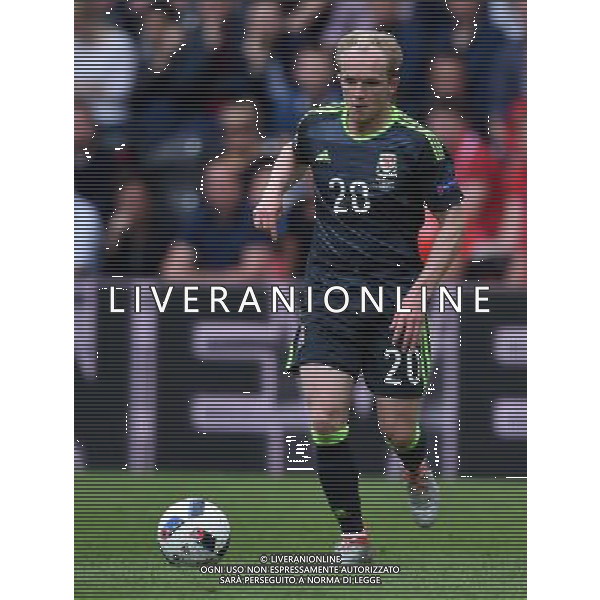 UEFA Francia EURO 2016 Final Tournament Group Stage B Lens - 16.06.2016 Inghilterra-Galles Nella Foto:Williams Jonathan /Ph.Vitez-Ag. Aldo Liverani