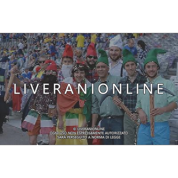 UEFA Francia EURO 2016 Final Tournament Group Stage E Tolosa - 17.06.2016 Italia-Svezia Nella Foto:tifosi italia /Ph.Vitez-Ag. Aldo Liverani
