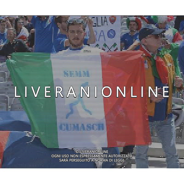 UEFA Francia EURO 2016 Final Tournament Group Stage E Tolosa - 17.06.2016 Italia-Svezia Nella Foto:tifosi italia /Ph.Vitez-Ag. Aldo Liverani