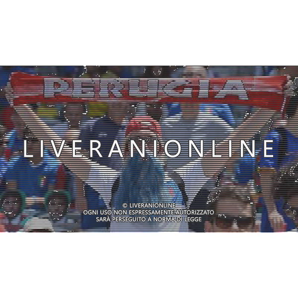 UEFA Francia EURO 2016 Final Tournament Group Stage E Tolosa - 17.06.2016 Italia-Svezia Nella Foto:tifosi italia /Ph.Vitez-Ag. Aldo Liverani