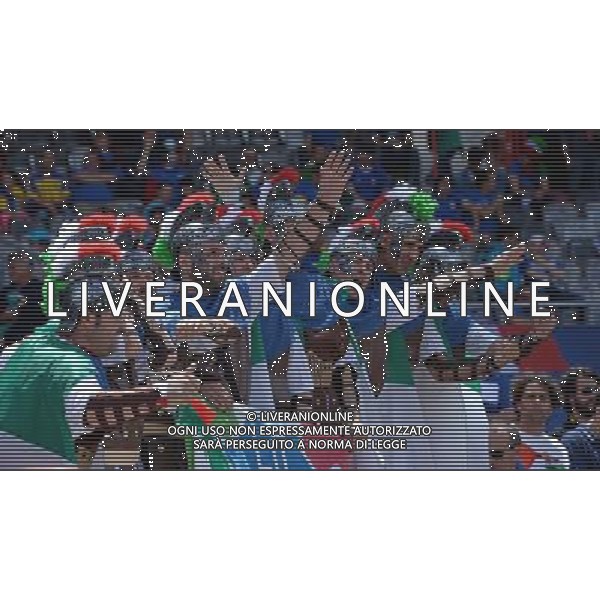 UEFA Francia EURO 2016 Final Tournament Group Stage E Tolosa - 17.06.2016 Italia-Svezia Nella Foto:tifosi italia /Ph.Vitez-Ag. Aldo Liverani