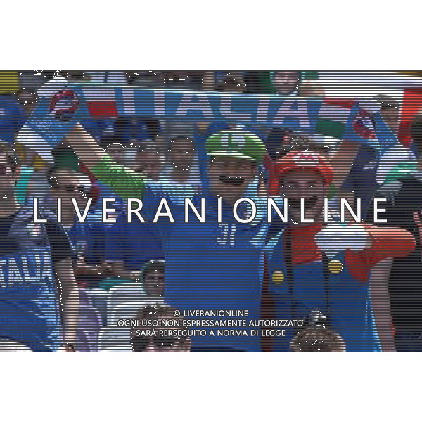 UEFA Francia EURO 2016 Final Tournament Group Stage E Tolosa - 17.06.2016 Italia-Svezia Nella Foto::tifosi italia /Ph.Vitez-Ag. Aldo Liverani