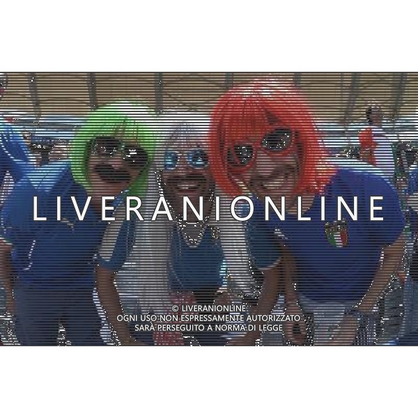 UEFA Francia EURO 2016 Final Tournament Group Stage E Tolosa - 17.06.2016 Italia-Svezia Nella Foto::tifosi italia /Ph.Vitez-Ag. Aldo Liverani