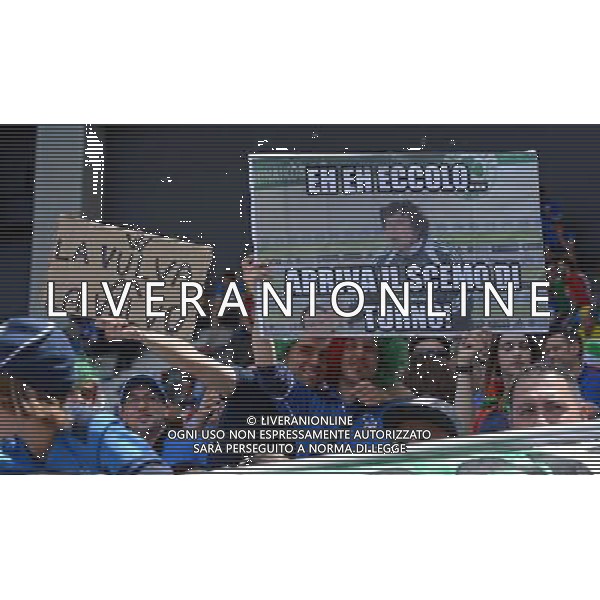 UEFA Francia EURO 2016 Final Tournament Group Stage E Tolosa - 17.06.2016 Italia-Svezia Nella Foto::tifosi italia /Ph.Vitez-Ag. Aldo Liverani