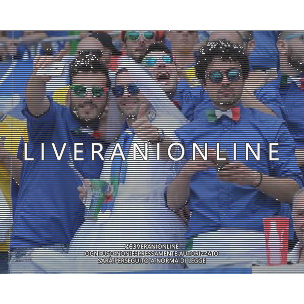 UEFA Francia EURO 2016 Final Tournament Group Stage E Tolosa - 17.06.2016 Italia-Svezia Nella Foto::tifosi italia /Ph.Vitez-Ag. Aldo Liverani