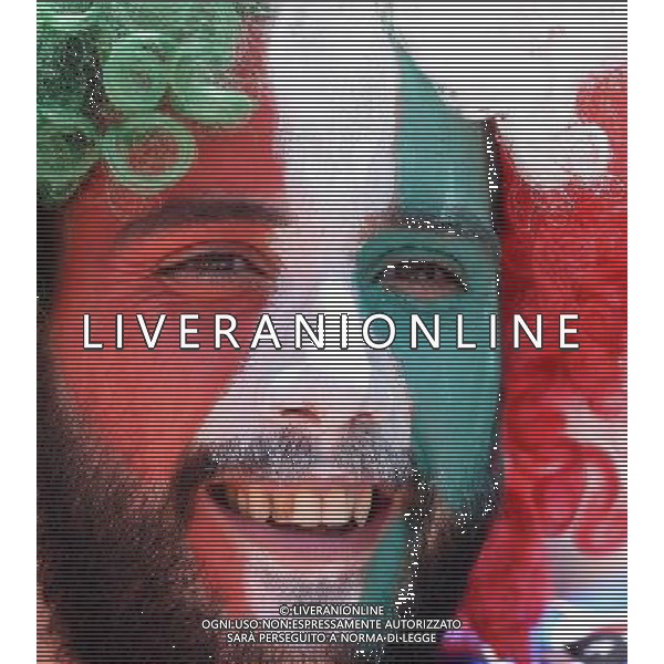 UEFA Francia EURO 2016 Final Tournament Group Stage E Tolosa - 17.06.2016 Italia-Svezia Nella Foto:tifosi italia /Ph.Vitez-Ag. Aldo Liverani