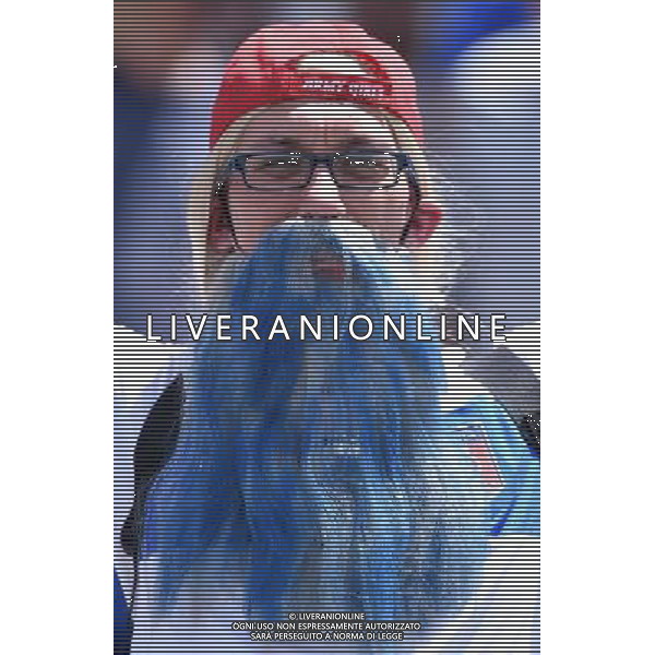 UEFA Francia EURO 2016 Final Tournament Group Stage E Tolosa - 17.06.2016 Italia-Svezia Nella Foto:tifosi italia /Ph.Vitez-Ag. Aldo Liverani